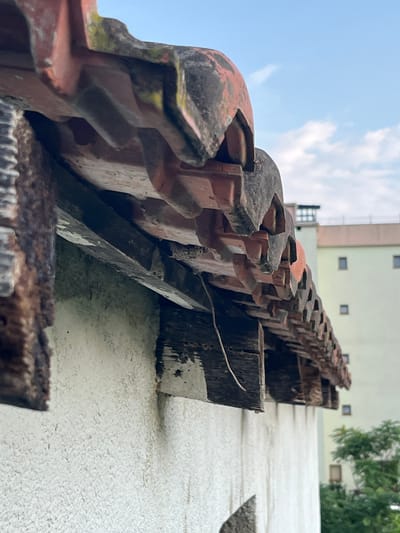 This image captures a low-angle, upward view of an aged, weathered terracotta roof edge against a bright, partly cloudy sky. The roof tiles are a reddish-brown, showing signs of wear, with patches of moss and discoloration. They are laid in a staggered pattern, interlocked with a dark, weathered wooden support structure. The wooden elements appear worn and partially decayed, with visible grain and some white paint flaking off.
In the background, a light-colored building with small, dark rectangular windows is visible. Further in the distance, lush green trees are present. The overall scene suggests an outdoor setting, likely residential or an older building, possibly in a warm climate given the bright sky. The lighting indicates it is daytime, with the sun casting shadows and highlighting textures. There is no visible text in the image. The focus is on the detail and texture of the roof and supporting structure, emphasizing their age and exposure to the elements.