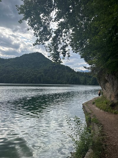 The image depicts a serene lake scene with a heavily wooded mountain in the background, under a cloudy sky. In the foreground, the rippling surface of the lake reflects the overcast sky and the surrounding greenery. A narrow dirt path runs along the edge of the lake, bordered by grass and rocks. On the right side of the path, a person is visible, standing near the water's edge, facing away from the camera. The vegetation is lush, with trees forming a canopy overhead and smaller plants growing along the path and near the water. The overall impression is one of a tranquil natural environment. This scene is likely located at the Hintersteiner See, a mountain lake situated in the Kufstein district of Tyrol, Austria, approximately 10 kilometers south of the city of Kufstein.