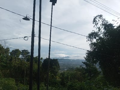A lush green landscape with a distant cityscape sits under a cloudy sky. Three dark, upright poles intersect the view, with power lines stretching across the sky. Dense vegetation fills the foreground, contrasting with the pale sky and the vague shape of clouds hovering above distant mountains. A light fixture hangs from one of the poles, adding a touch of human presence to the natural scene.