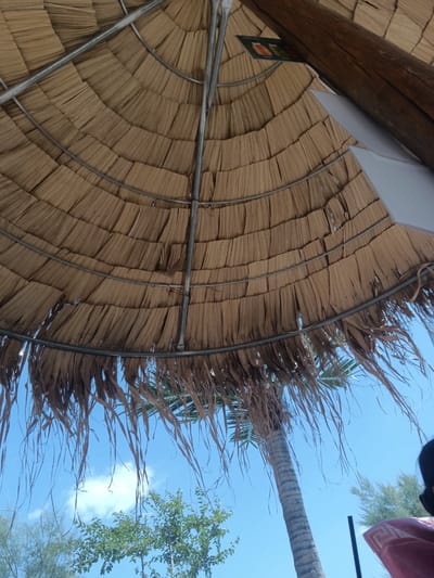 The image shows an underside view of a thatched umbrella in Nea Peramos, Greece. The umbrella is constructed from dried palm fronds woven together and supported by a metal frame and a wooden pole. Hanging down from the edge of the umbrella are loose fronds, some reaching towards the sky.
Beneath the umbrella, a bright blue sky is visible with a few wispy white clouds. A palm tree trunk is prominent, extending upwards behind the umbrella. To the left and right of the palm tree, there are glimpses of green foliage, suggesting a natural or garden setting. In the lower right corner, a portion of a person's head and shoulder is visible, with dark hair. A pink towel with a geometric pattern is draped over something out of frame. A dark vertical object, possibly a pole or umbrella stand, is also present in the lower right.
The scene appears to be outdoors, likely at a beach or resort, given the presence of a thatched umbrella and palm trees. The lighting suggests it is daytime, with the sun likely positioned overhead. The overall impression is one of a relaxed, sunny outdoor environment.