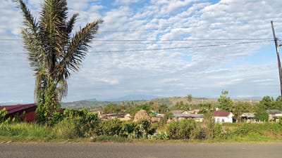 The image depicts a rural landscape in Uruekanoe, Indonesia, under a partly cloudy sky. A tall palm tree, partially covered in vines, stands prominently on the left side of the frame, near a building with a red corrugated metal roof. The foreground features a paved road with grass and dense green vegetation lining its edge.
In the mid-ground, a cluster of houses with various roofing materials, including metal and tiles, are visible amidst lush greenery and scattered palm trees. A large mound, possibly a termite mound, is situated near the houses. The background reveals rolling hills and distant mountains, suggesting a hilly or mountainous terrain surrounding the village. Power lines stretch across the sky, supported by a utility pole on the far right. The scene appears to be captured during daylight hours, likely morning or late afternoon, given the quality of light. There are no people or animals clearly visible in the image.