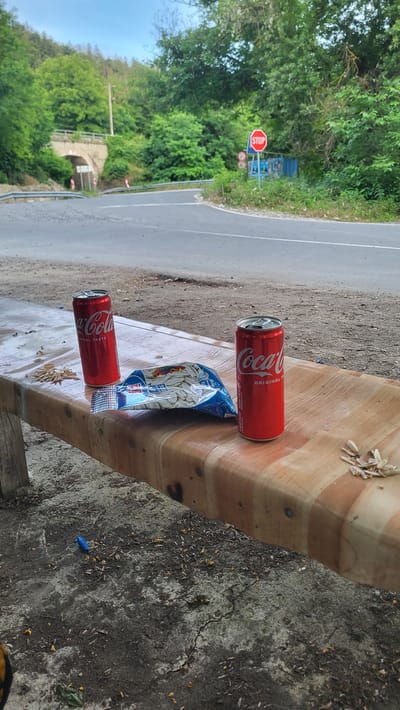 The image depicts an outdoor scene on a roadside in Vishna, Bulgaria. In the foreground, a wooden bench with a light-colored, possibly laminate, top is laden with two red Coca-Cola cans and a partially opened bag of sunflower seeds. The bench appears wet. Scattered around the bench are discarded sunflower seed shells and a blue object, possibly a pen or marker, lies on the ground. In the background, a road curves to the left, leading towards a stone bridge with an archway, possibly a tunnel entrance. To the right of the road, a red octagonal stop sign is visible, accompanied by other road signs. Lush green trees and vegetation surround the area, with a cloudy sky overhead. The overall impression is a rest stop or a casual break taken by a roadside.
