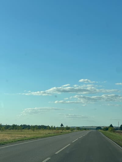 The image shows a paved road stretching into the distance, curving slightly to the right. The road has white dashed lines marking the lanes. On the left side of the road is a grassy field with scattered trees and a line of dense trees in the background. On the right side, the grass slopes down from the road. A triangular road sign is visible on a pole in the grassy field on the left. The sky is a clear blue with scattered white clouds. The scene appears to be a rural landscape. The location is the city of Пришиб, Russia.