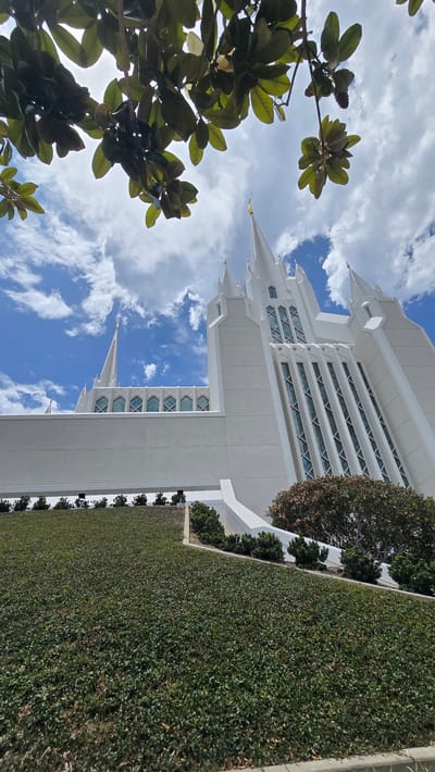 The image depicts the San Diego California Temple of The Church of Jesus Christ of Latter-day Saints. The architectural style is characterized by its white, imposing structure with multiple spires and intricate geometric window designs. The building is set against a vibrant blue sky dotted with fluffy white clouds, suggesting a pleasant day.
In the foreground, the lush green foliage of a tree with large, glossy leaves partially frames the view of the temple. The tree's branches reach upwards towards the sky, creating a natural contrast with the man-made architecture. To the right of the temple, a meticulously manicured hedge runs along the side of the building, adding to the well-maintained appearance of the grounds.
The time of day appears to be daytime, likely late morning or early afternoon, given the brightness of the sunlight and the clear sky. The overall mood conveyed by the image is one of serenity and grandeur. The location is clearly identifiable as the San Diego California Temple due to its distinctive design, a landmark in the area. No people are visible in the image, focusing the viewer's attention solely on the building and its natural surroundings. There is no visible text in the image.