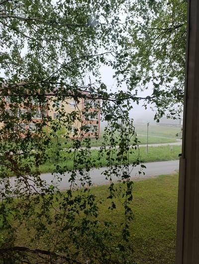 The image captures a view from a window looking out at a residential building and its surroundings. In the foreground, branches of a tree with green leaves hang down, partially obscuring the view. Behind the tree branches, a multi-story building with a yellow brick facade and red trim is visible. The building has numerous windows, many of which appear to be white. A paved road runs horizontally across the mid-ground, bordered by green grass. In the distance, a light fog or mist obscures the details of the environment, but a few vehicles, possibly trucks, can be seen on the road. The overall scene suggests an overcast or misty day in a quiet, possibly suburban or rural area. The location is identified as Tugulym, Russia.