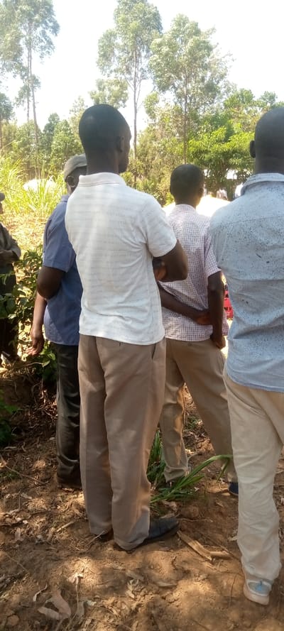 The image captures a group of men standing outdoors, primarily viewed from behind, in what appears to be a rural or semi-rural setting in Burundu, Kenya.
In the foreground, a man stands with his back to the camera, wearing a white short-sleeved polo shirt with faint horizontal stripes, khaki trousers, and dark dress shoes. To his left, another man is seen from the side, wearing a blue short-sleeved shirt and dark pants. Further back and to the right of the central figure, a third man wears a light-colored, checkered short-sleeved shirt and khaki pants, with his arms crossed behind his back. On the far right, partially visible, is a fourth man wearing a light blue or grey collared shirt and light-colored trousers.
The men appear to be gathered and looking in a common direction, though their specific focus is not discernible. The ground is dry and earthy, with some sparse vegetation and fallen leaves. In the background, tall, slender trees with green foliage dominate the upper half of the frame, characteristic of eucalyptus or similar species common in the region. The sky is bright and clear, indicating a sunny daytime scene, likely mid-morning or afternoon, with strong natural light. No visible text is present in the image. The overall impression is of an informal outdoor gathering or observation in a warm, dry environment.