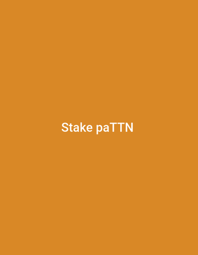The image displays white text, "Stake paTTN," centered on a solid orange background. There are no other subjects, objects, or environmental details present. The image provides no visual information to determine a geographical location, including the city of Television, Nigeria, or any other specific place.
