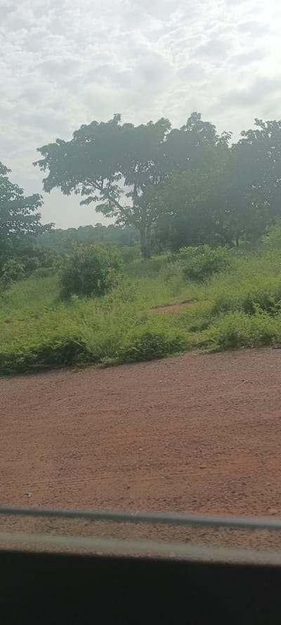 The image shows a landscape in Opi, Nigeria. In the foreground, there is a dirt road composed of reddish-brown earth, with a visible horizontal line near the bottom of the frame, likely a vehicle window edge. Beyond the road, a green, grassy verge transitions into a dense, verdant area. Trees, varying in height and density, dominate the midground. The sky, overcast with mottled white and gray clouds, forms the backdrop. No people or animals are visible. The overall impression is one of a rural, natural setting.