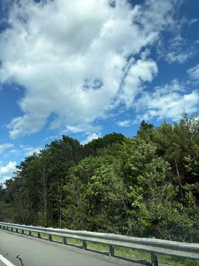 The image depicts a roadside view under a partly cloudy blue sky. A grey metal guardrail runs along the edge of an asphalt road on the left side of the frame. Beyond the guardrail, a dense green forest fills the middle and right portions of the image, with various trees of different heights and foliage densities. The sky above is a vibrant blue, interspersed with large, fluffy white clouds. The scene appears to be a scenic natural area, possibly a highway passing through a wooded region. There are no people or animals visible in the image.
