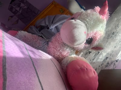 The image shows a close-up of a stuffed unicorn toy, predominantly pink and white, with a pink horn. The toy is lying on a bed with pink and purple striped bedding. In the background, there are draped grey fabric and a portion of a golden frame. The lighting suggests it's daytime, with sunlight casting shadows. The scene appears to be within a bedroom. The location is Krushev Dol, Bulgaria.