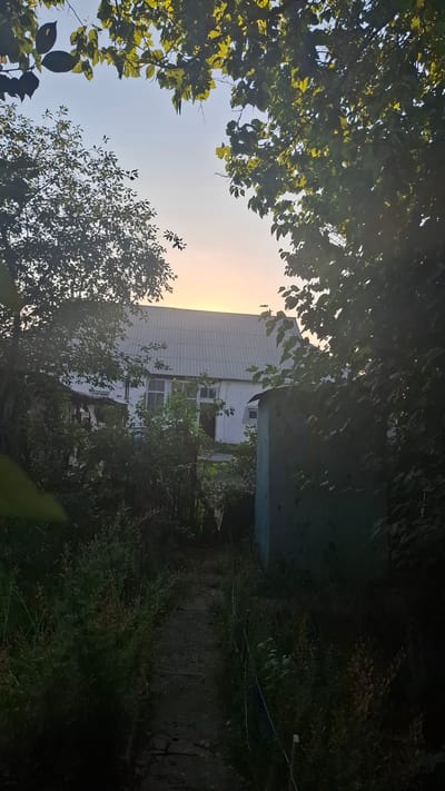 A sunlit rural yard is captured, with a path leading towards a white, single-story building with a corrugated roof. The building has several windows, and some appear to be boarded up. To the right of the path, a dark green outbuilding or shed is visible. Dense green foliage from trees and bushes frames the scene, with sunlight filtering through the leaves, creating dappled shadows. The sky above is a soft blue with a hint of orange near the horizon, indicating either sunrise or sunset. The ground is covered with grass, weeds, and a dirt path. The overall impression is one of a quiet, overgrown residential area in Шұбарсу, Kazakhstan.