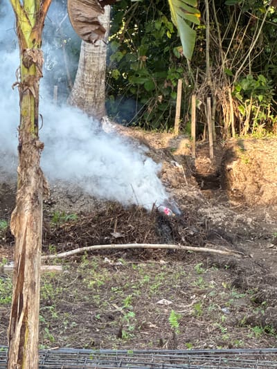 In Blahbatuh, Indonesia, a scene unfolds with a banana tree trunk dominating the left foreground. White smoke billows from a pile of burning debris in the mid-ground, where a red and white plastic bottle is visible. Behind the smoke, a weathered palm tree stands, and further back, a dense thicket of greenery and dry branches creates a natural backdrop. Several wooden stakes are planted in the earth, suggesting ongoing construction or land modification. The ground is a mixture of soil, dried leaves, and scattered small plants. In the lower right foreground, a mesh of metal reinforcement bars is laid out, indicating potential construction work. The lighting suggests it is daytime, with shadows cast by the vegetation.