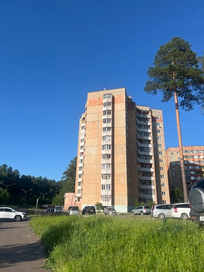 A multi-story apartment building with a light orange and beige facade and numerous balconies is seen from a low angle under a clear blue sky. A tall pine tree stands to the right of the building. In the foreground, a paved road curves to the left, bordered by a dense area of green grass with wildflowers. Several cars are parked on the side of the road and in front of the building, including a white SUV, a dark sedan, a silver minivan, and a white SUV. A darker SUV is partially visible on the far right, with a spare tire mounted on its rear. In the background, more trees and another apartment building are visible. The image appears to have been taken on a sunny day.