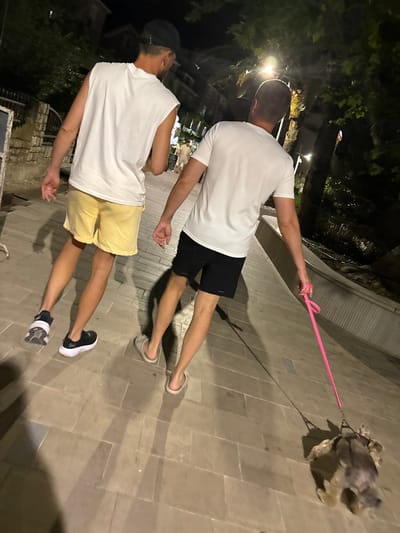 Two people are walking a small, fluffy dog on a leash at night in Petrovac centar, Montenegro. The person in front is wearing a white sleeveless shirt and yellow shorts, and the person behind them is wearing a white t-shirt and black shorts. Both are wearing casual shoes. The dog is being walked on a pink leash. The scene appears to be a paved walkway lined with trees and some buildings in the background. The lighting suggests it is nighttime, and the weather appears to be clear. The overall mood is casual and relaxed, with the subjects focused on their walk. There is no visible text in the image.