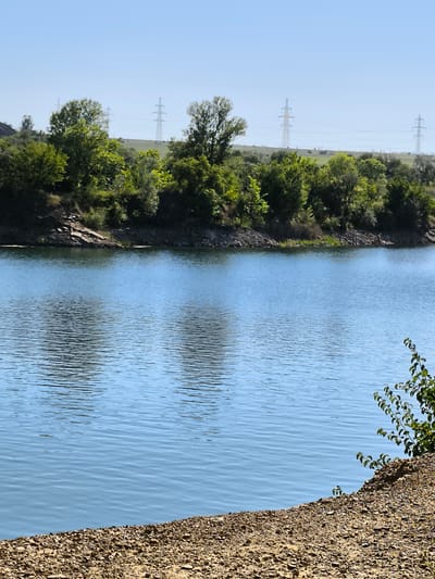 This is a landscape photograph of a body of water, likely a lake or reservoir, on a clear day. The water is a vibrant blue, with small ripples creating a textured surface. The foreground is a dry, rocky shore made of small pebbles.
Across the water, a tree-lined bank rises gently. The trees are lush and green, with some rocky outcrops visible on the left side of the bank. In the background, rolling hills are dotted with more trees and open grassy areas. Dominating the horizon are several tall, metallic electricity pylons, connected by wires, indicating the presence of power infrastructure.
The sky is a clear, light blue, suggesting it is daytime, likely late morning or early afternoon due to the bright, even lighting. There are no people or animals visible in the scene. The overall impression is one of a natural, serene landscape with industrial elements. The location cues, such as the electricity pylons and the type of vegetation, are consistent with a rural or semi-rural setting. No text is visible in the image.