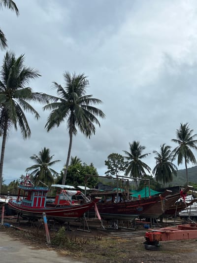 The image shows a view in Ban Bang Khao, Thailand, with a cloudy sky. Several palm trees dominate the left and top portions of the frame. On the right side, numerous boats, mostly in red and brown hues, are visibly propped up on stands, likely for repair or storage. Vegetation, including trees, is visible behind the boats. The ground area surrounding the boats appears unpaved.