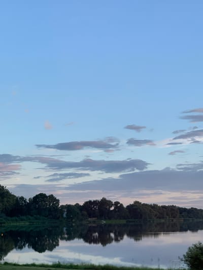 The image depicts a tranquil natural scene at dusk near the town of Nesvizh, Belarus. The sky is a soft gradient of pale blue at the top, transitioning to hues of pink and grey near the horizon due to the setting sun. Scattered across the sky are wispy, elongated clouds.
Below the sky, a dense line of dark green trees forms the shoreline of a calm body of water. The trees vary in height and density, creating a natural, undulating silhouette against the sky. The water's surface is smooth and reflective, mirroring the treeline and the subtler colors of the sky. A thin strip of green grass is visible along the bottom edge of the image, suggesting the viewpoint is from the bank of the water. The overall impression is one of peaceful solitude and the natural beauty of the Belarusian landscape.