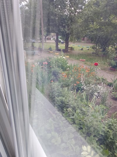 This media file shows a view through a window onto an outdoor scene. In the foreground, on the left, white curtains are visible, casting shadows onto the glass. Beyond the window, a garden is in bloom with various flowers, including red roses, orange flowers, and white lilies, interspersed with green foliage. A dirt path winds through the garden. In the background, large trees with dense green leaves create a canopy, suggesting a summer day. Beyond the trees, a grassy area is visible with several tire swings and a small wooden bench. A car is parked in the distance. The overall impression is a peaceful, green outdoor space, possibly a backyard or a communal area. The lighting suggests it is daytime, and the lush greenery points towards warm weather. There is no visible text in the image.