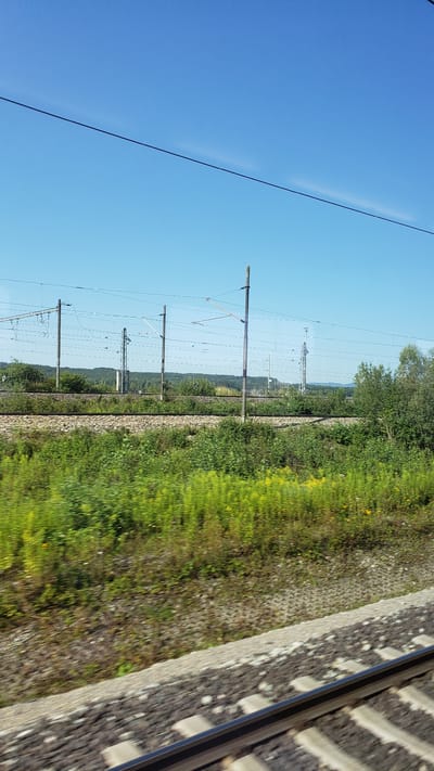 The image depicts a view of a train track and surrounding landscape, likely captured from a moving train. In the foreground, train tracks are visible, with ballast and sleepers. Beyond the tracks, a dense growth of green and yellow vegetation lines the area, with some taller trees and bushes visible further back. In the mid-ground, there are multiple sets of parallel train tracks, accompanied by numerous overhead power line poles and wires. A distinct metal pylon-like structure stands in the distance, also associated with the power lines. The background shows a gentle, rolling landscape covered in lush green trees, suggesting a rural or semi-rural environment. The sky is a clear, bright blue with no clouds. The overall impression is one of a bright, sunny day, with the motion blur indicating the photograph was taken while traveling. The location is identified as Mojš, Slovakia, suggesting this is a scene from the train route in that area.