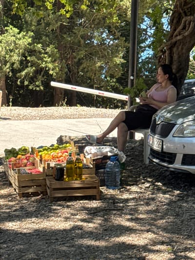 A woman in a pink tank top and black shorts is standing next to a silver car, holding a mobile phone. She appears to be in a casual outdoor setting, possibly on a sunny day. Beside the car, there's a roadside stand displaying various fruits in wooden crates, including apples, and possibly other produce. There are also bottles of liquid, one of which is a large water bottle. The ground is covered with gravel and fallen leaves, suggesting a natural environment with trees providing some shade. A white barrier or pole with red markings is visible in the background. The overall scene suggests a moment of everyday life, possibly a pause during travel or a local market setting. The license plate of the car is partially visible with the text "295". The time of day appears to be daytime, with sunlight casting shadows. The location is identified as Kamenovo, Montenegro.