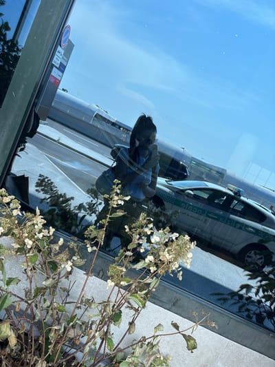 This image depicts a reflection in a large window, showcasing a street scene from Ferno, Italy. The primary subject of the reflection is a white and green marked vehicle, likely a police car or utility vehicle, with the text "CARABINIERI" visible. The vehicle is parked on a street, indicated by a yellow line and gray pavement.
In the foreground of the reflection, a person is visible, holding a smartphone and appearing to take a picture. Their presence suggests they are standing in front of the window. The window itself is large and clean, reflecting the sky and surrounding environment.
Further in the reflection, there's a glimpse of a building with a sign that includes a red and white circular "no parking" symbol and some Italian text, likely indicating local regulations or information. Another sign with "TOILETS" and arrows is also visible, suggesting a public area or facility.
The time of day appears to be daytime, given the bright sky and clear reflections. The weather seems fair, with a clear blue sky and no visible precipitation.
The scene is somewhat dynamic due to the reflection capturing movement and multiple elements. The dry, light-colored flowers in the bottom right corner of the image are a real element, not a reflection, providing a contrast to the sharp, clear reflections of the street scene. These flowers add a touch of nature and perhaps indicate a season. The overall impression is a snapshot of urban life captured through the lens of a reflection.