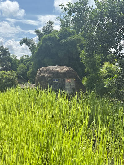 The image captures a large boulder situated in a lush, green rice paddy field under a partially cloudy sky. Two flags are affixed to the boulder: one appears to be the flag of Laos, and the other is yellow with a red star, likely the flag of Vietnam. There are also inscriptions on a plaque below the flags. In the background, dense green foliage and trees, including bamboo, are visible, along with a hint of traditional roofing from structures in the distance. The foreground is dominated by tall, vibrant green rice stalks, suggesting a rural or agricultural setting. The scene appears to be an outdoor memorial or marker.