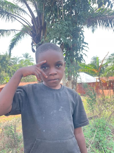 The image, taken in Ogbe, Nigeria, features a young individual, likely a boy or young man, positioned outdoors and looking directly at the camera. He has dark skin, short dark hair, and is wearing a dark grey, short-sleeved t-shirt that appears somewhat faded, with a few light marks on the chest. His right hand is raised, with fingers splayed, and gently rests against the side of his face near his cheek. His expression is calm and neutral.
The background is dominated by lush, green tropical vegetation, including several large palm trees with distinctive fronds and other dense foliage, suggesting a natural or semi-rural setting. Patches of bright, clear sky are visible through the gaps in the leaves, indicating a sunny day. In the upper background, a reddish-brown structure, possibly a building or wall, can be seen. The overall scene conveys a warm, tropical environment. There is no visible text in the image.