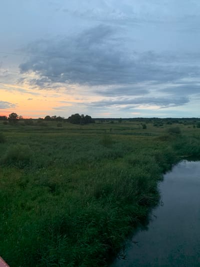 The image depicts a serene landscape scene at dusk in the vicinity of Відзаўскі сельскі Савет, Belarus. The sky is a gradient of soft blues and greys, with scattered clouds that catch the last light of the setting sun, creating subtle hues of orange and pink on the horizon. Several thin, dark lines, likely power lines, traverse the sky.
The foreground is dominated by a vast expanse of lush green grassland, with tall reeds and other vegetation growing densely along the edge of a dark, calm body of water. The water reflects the muted tones of the sky. Further into the distance, the landscape transitions into rolling hills dotted with trees and shrubs, forming a natural, undulating horizon. The overall impression is one of natural tranquility and the quiet beauty of a rural evening. There are no people or visible structures in the immediate foreground or midground, emphasizing the untouched nature of the environment.