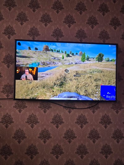A television displays a video game, likely PlayerUnknown's Battlegrounds (PUBG), with a small inset video of a streamer wearing glasses and headphones. The game features a landscape with trees, grass, and a body of water. The television is mounted on a wall with patterned wallpaper. The location is not discernible from the image.