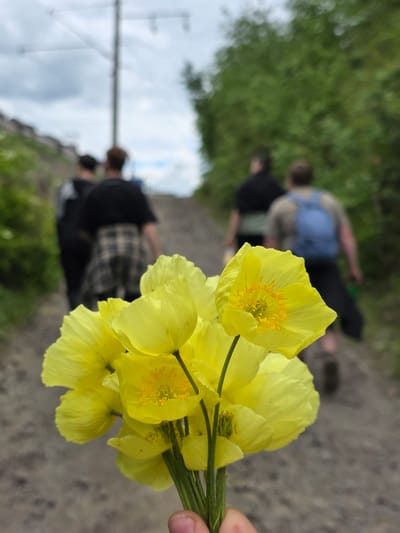 A close-up shot of a bouquet of bright yellow flowers, likely poppies, fills the foreground of the image. The flowers are held by a hand, and the stems are visible at the bottom right. In the blurred background, three individuals are walking away from the camera up a gravel path. The person in the middle wears a plaid shirt over a dark t-shirt, and the person to their right has a blue backpack. Vegetation lines the right side of the path, and a utility pole with wires is visible against a cloudy sky on the left. The scene appears to be outdoors, possibly in a rural or semi-rural area like Atamanovka, Russia, given the presence of the utility pole and natural surroundings.