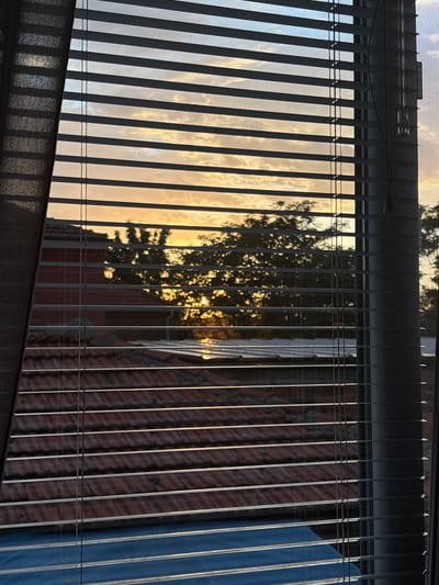 The image shows a view through a window with partially open Venetian blinds. Visible through the blinds is an outdoor scene with sky, clouds, a tree, and a building. The light suggests it's either sunrise or sunset. The blinds are a light color. The lower part of the image features a section of the window frame and mesh screen. It is not possible to determine a specific location in Manole, Bulgaria from the contents of this image.