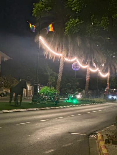The image shows a night scene on a street in Rishon LeZion, Israel. The street is paved and has lane markings. On the right side of the road, there is a sidewalk with yellow and red striped curbing, a tree, and a storm drain. The left side of the road features a landscaped median with artificial turf.
Prominently displayed on the median is a topiary sculpture of a horse. Next to the horse is a planter box decorated with string lights and what appears to be Christmas lights. Further down the median, several palm trees are visible. These trees are adorned with strings of warm white lights that drape between them. One palm tree has a large, spherical light fixture hanging from its branches. Two rainbow flags are also visible, attached to poles near the palm trees. In the background, there are buildings and trees, illuminated by the streetlights and the decorative lighting. Several vehicles with their headlights on are present on the road and in the background. One vehicle appears to be a white car. The overall atmosphere is festive and celebratory.