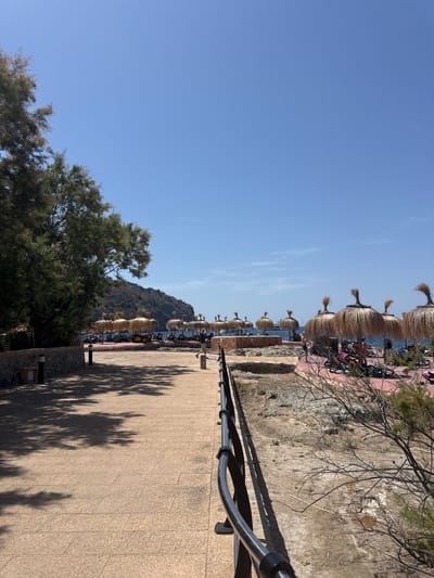 This media file depicts a sun-drenched coastal scene in Andratx, Spain. The image is oriented vertically, with the sky dominating the left side and the ground and a row of thatched umbrellas filling the right. The sky is a clear, vibrant blue with a faint contrail from an airplane visible.
Along the right side of the frame, a paved walkway stretches into the distance, lined with straw umbrellas providing shade over empty lounge chairs. The umbrellas are neatly arranged, suggesting a beach or resort setting. Beneath the umbrellas, glimpses of people can be seen, some sitting and others appearing to walk or stand. A few bicycles are also parked in this area.
The walkway is bordered by a low stone wall and a metal railing. To the right of the walkway, the ground is rough and rocky, with sparse vegetation and tree branches extending into the frame. The sun casts long, distinct shadows of trees onto the walkway, indicating it is likely late morning or early afternoon. The overall atmosphere is one of a warm, pleasant day, ideal for outdoor leisure. In the background, a lush, tree-covered hill rises from the coastline, with the blue sea visible between the hill and the beach umbrellas. The location is clearly a coastal resort area, likely a beach promenade. There is no visible text in the image.