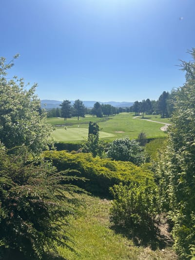 The image depicts a verdant golf course viewed from an elevated position, possibly a hillside or a building. The golf course is characterized by manicured green fairways and greens, interspersed with trees. A pathway is visible traversing the course. The image is framed by dense vegetation in the foreground and sides, which consists of shrubs and trees. In the distance, rolling hills or mountains are visible against a clear blue sky.
While the image depicts what may be the city of Razlog in Bulgaria, it is not possible to confirm this without additional information, such as geolocation metadata or identifying landmarks within the image itself.