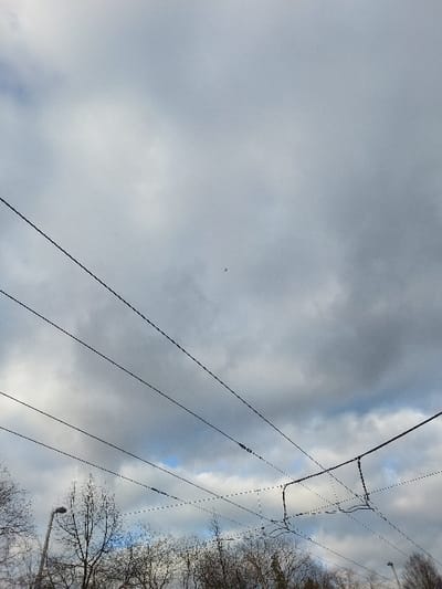 The image captures an outdoor scene under an overcast sky with patches of lighter clouds and visible blue sky, located in Illkirch-Graffenstaden, France. A dense network of black overhead electrical wires, consistent with public transport infrastructure, extends across the upper and middle portions of the frame. In the sky, a small, dark, indistinct object, possibly a bird or a small drone, is visible slightly left of the center. Below the overhead wires, the upper portions of bare deciduous trees are visible, indicating a dormant season. A dark street lamp post with its luminaire is present on the lower-left side of the frame, partially obscured by tree branches. No human subjects, animals, vehicles, or specific activities are discernible in the scene.