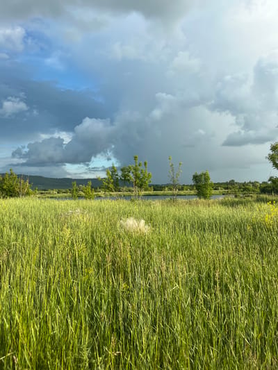 The image depicts a natural landscape with a focus on tall green grass in the foreground. Beyond the grass, a body of water is visible, bordered by trees and vegetation. In the background, a hilly terrain is outlined against a sky filled with dramatic, dark clouds mixed with patches of blue sky. The scene suggests a natural environment, possibly a park or a rural area on the outskirts of a city. The specific location in Oktyabrsky, Russia, is not discernible from the visual information provided in the image. There are no people or specific structures visible to indicate urban activity.