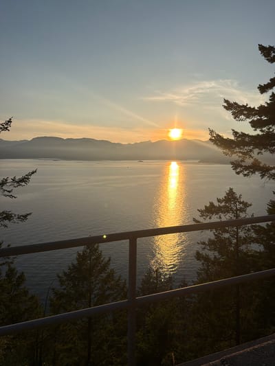A tranquil, panoramic view captures a serene sunset over a body of water, with silhouetted mountains in the distance. The sun, a bright orb, casts a shimmering golden path across the water's surface. Tall evergreen trees, silhouetted against the sky, frame the scene from the foreground and sides. A grey metal railing runs across the bottom of the frame, partially obscuring the view of more trees and a textured ground surface. The sky is a soft gradient of blues and yellows, with wispy clouds adding subtle texture. The overall atmosphere is peaceful and natural, suggesting a remote, scenic location. The location is Area D (Elaho/Garibaldi), Canada.