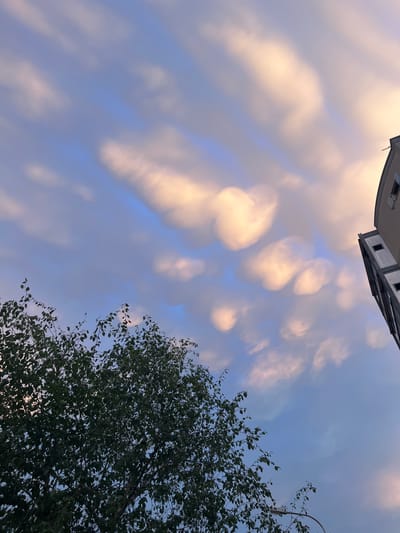 The image captures a low-angle view of the sky, dominated by a mix of clouds and a building. In the upper left quadrant, the edge of a modern building with multiple windows is visible, appearing to be angled against the sky. The clouds are diverse, with some illuminated by soft, warm light, creating a dappled effect, while others are a muted white or grey against a blue sky. This suggests a time around sunrise or sunset, or possibly overcast conditions with breaks of sunlight.

In the lower right of the frame, the branches and leaves of a dense tree fill a significant portion of the view, its dark green foliage contrasting with the lighter sky and clouds. The leaves are in sharp focus, suggesting the camera is at a closer proximity to the tree than to the building. The presence of the tree and the building hints at an urban or suburban setting, possibly a park or a residential area. The lighting on the clouds and the tree, with some areas appearing brighter and others in shadow, indicates dynamic lighting conditions, likely from the sun. The overall mood is serene and natural, despite the man-made structure. No text is visible in the image. The location context of Geneva, Switzerland, doesn't offer specific visual cues in this particular frame beyond what's generally observed in many urban environments.