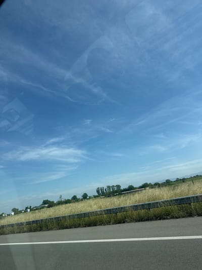 The image shows a view from a vehicle moving alongside a road in Opalchenets, Bulgaria. The right side of the frame captures the asphalt road with a white lane marker. Adjacent to the road is a grassy field lined with scattered trees. The background features a bright, blue sky with wispy white clouds.