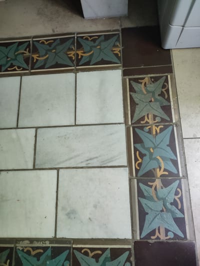 The image shows a close-up view of a tiled floor. The tiles are a mix of plain white or off-white marble and decorative tiles with a pattern of green ivy leaves and yellow accents on a dark brown background. The decorative tiles are arranged in a border along the edge of the marble tiles. The floor appears to be in an indoor setting, possibly a hallway or entryway. There are no people or animals visible in the image. The scene is static and provides no information about Dresden, Germany.