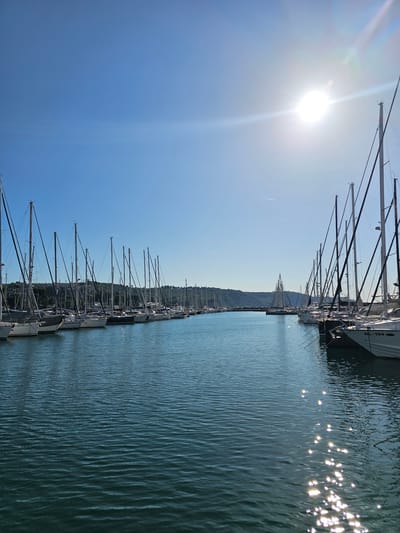 The image captures a marina in Jagodje, Slovenia, on a clear, sunny day. The perspective is from a high angle, looking down towards the water and the docked sailboats. The sun is bright and high in the sky, casting a lens flare and creating sparkling reflections on the rippling blue water.

The primary subjects are numerous sailboats, neatly lined up along a pier. Their tall masts dominate the composition, creating a striking visual pattern against the clear sky and the distant, tree-covered hills that form the backdrop of the scene. The water is a deep, textured blue, showing the effects of a gentle breeze.

One of the sailboats has visible text on its side: "NL-194". The scene suggests a peaceful day at the harbor, with no people visible. The bright sunlight and clear sky indicate fair weather. The presence of the distant hills and the specific boat registration hint at a European location, consistent with the provided location context of Jagodje, Slovenia. The overall mood is serene and picturesque, highlighting the beauty of the marina and the surrounding landscape. The image appears to have been taken around midday due to the sun's position.