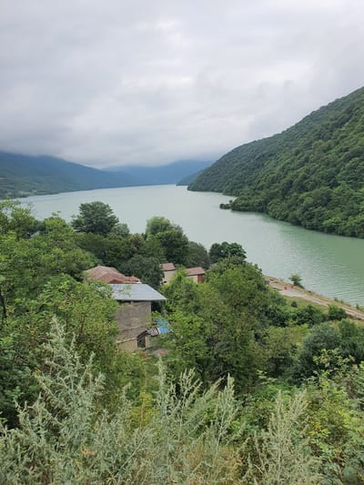 The image depicts a tranquil landscape featuring a wide, serene body of water flanked by lush, tree-covered mountains under an overcast sky. In the foreground, dense greenery and some low-lying silvery bushes dominate the view. A few rustic structures, including houses with corrugated metal roofs and brick walls, are nestled amongst the trees. The water, a pale green, reflects the muted light of the cloudy day. A dirt road runs along the edge of the water on the right side of the frame, where two orange traffic cones are visible. In the distance, mountains fade into a hazy horizon. The scene captures a peaceful, natural setting with scattered human habitation. The location is identified as Shalikiantkari, Georgia.