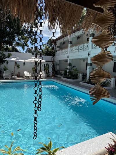 This image depicts an outdoor swimming pool area, presumably part of a resort or hotel, located in Panglao, Philippines. The scene is illuminated by bright daylight under a partly cloudy sky.

In the immediate foreground, the underside of a thatched roof is visible, from which several decorative elements hang. These include two strands of dark, interconnected metal rings, appearing as chains, and a light-colored spiral-shaped wooden ornament on the right. Below these, parts of green and purple-leafed plants are visible along a white textured ledge.

The central and lower portions of the image are dominated by a rectangular swimming pool filled with clear, light blue water. The water surface shows reflections and minor ripples, with several fallen leaves floating within. The pool is bordered by a light-colored deck.

On the left side of the pool, three white plastic lounge chairs are arranged, accompanied by two open white patio umbrellas providing shade. Behind these, a white wall is visible, adorned with various potted plants.

On the right side, a two-story white building faces the pool. The building features multiple balconies on both the ground and upper floors, each with ornate white railings. Ceiling fans are affixed to the underside of the balcony overhangs on both levels. The ground floor patio area also displays several potted plants. Beyond the building and wall, dense green foliage and trees indicate a tropical environment.

No individuals are present in the image, and no active interactions or specific actions are observed.