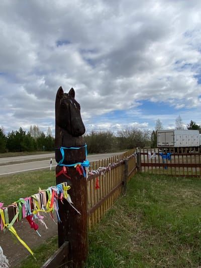 A wooden horse head sculpture is positioned beside a road in Jerdovka, Russia. The sculpture is adorned with numerous colorful ribbons tied around its neck and along its base. In the background, a wooden fence stretches along a grassy area, with a white truck visible behind the fence. A two-lane road runs adjacent to the sculpture and fence, bordered by a dense line of trees. The sky is overcast with gray and white clouds, creating a diffused light over the scene.