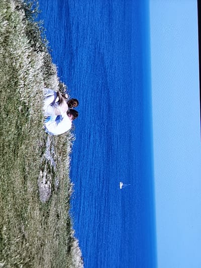 The image depicts a couple standing on a grassy cliff overlooking a vast expanse of blue water, likely the sea. The couple, dressed in white, appears to be embracing or posing for a photograph. The cliff is covered in dense green vegetation. In the distance, a small white object, possibly a boat or a buoy, is visible on the water. The sky is a clear, light blue. The composition suggests a scenic and possibly romantic setting. The location is identified as Étretat, France, known for its dramatic coastal cliffs.
