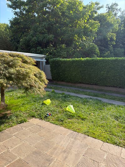 The scene is an outdoor garden in Lissone, Italy. A brick pathway runs along the right side of the image. The garden contains grass, trees, shrubs, and a hedge. Yellow training cones, and an unidentified toy are visible in the grass. A portion of a building is seen behind the garden.