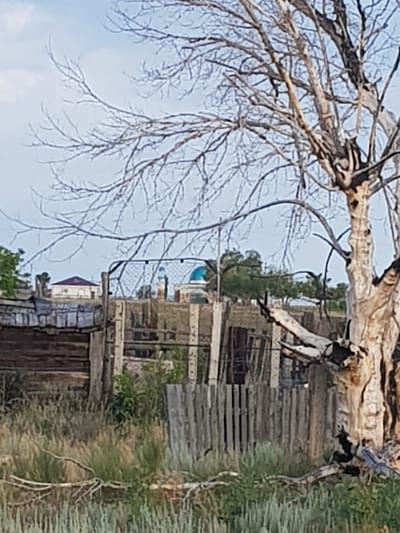 The image depicts a rustic scene, likely in the village of Dolen, Kazakhstan, characterized by a dry, leafless tree in the foreground, its gnarled branches extending towards a pale blue sky. Behind the tree, a dilapidated wooden fence runs horizontally across the frame. Beyond the fence, structures are visible, including what appears to be a building with a purple roof in the mid-ground, and further back, a building with a bright blue dome, suggesting a religious or cultural site. The environment appears to be dry and overgrown with tall grasses and weeds. The overall impression is one of an abandoned or neglected rural area, with hints of habitation in the distance. There are no people visible in the image.