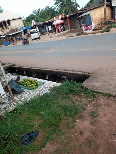 The image depicts a street scene in Oko Town, Nigeria, captured from a low perspective. In the immediate foreground, a patch of reddish-brown soil is covered by sparse green grass, with a crumpled black plastic bag resting on the dirt. Adjacent to this, a concrete curb transitions to a tiled sidewalk. A dark, concrete drainage channel, approximately 0.5 meters wide and containing visible debris, separates the sidewalk from the main road.
On the tiled sidewalk, the lower legs and bare feet of an individual, presumably a vendor, are visible on the far left. A pile of approximately two dozen green and yellow citrus fruits, consistent with oranges, is displayed on a green fabric mat next to the individual.
The midground features a two-lane asphalt road with visible cracks and patches. A white van is parked or moving slowly towards the background on the right side of the road. A person on a brown motorcycle is driving away from the viewer in the right lane. Another individual is standing on the far left side of the road, partially obscured by a building.
The background consists of a commercial strip with multiple single-story buildings housing shops or stalls. Noteworthy features include a shop with a prominent red "JUICE" sign and an open pink sun parasol positioned outside its entrance, and another shop displaying blue signage. Further down the street on the left, a two-story building with an unpainted or unfinished upper level is visible. The scene is set against a backdrop of dense green foliage, including palm trees, with a pale, diffused sky overhead.