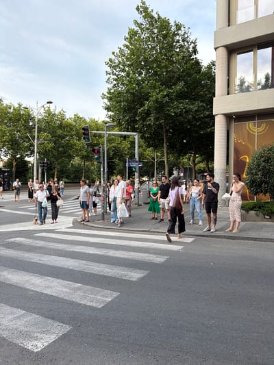 A group of people are gathered at a crosswalk on a street in the Vracar Urban Municipality, Serbia. The sky is overcast, and trees line the sidewalk. A traffic light is visible, showing a red light for vehicles and a green light for pedestrians. Some individuals are waiting to cross, while others are already on the crosswalk. A couple is walking a small dog, and a woman is pushing a stroller. The buildings in the background are modern in style.