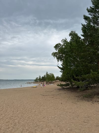 Aiyrtau City Beach in Kazakhstan under a cloudy sky features a sandy shore with a calm body of water. Several people are present on the beach and in the water. In the foreground, a vast expanse of sand is visible with scattered pine cones. Further back, near the water's edge, a yellow lounger lies on the sand. To the right of the lounger, a group of individuals, including children and adults, are walking and interacting. One person stands partially submerged in the water on the left side of the frame. The background is dominated by a tree line with lush green foliage, including pine and birch trees, bordering the beach. The sky is overcast with a palette of grays and whites.